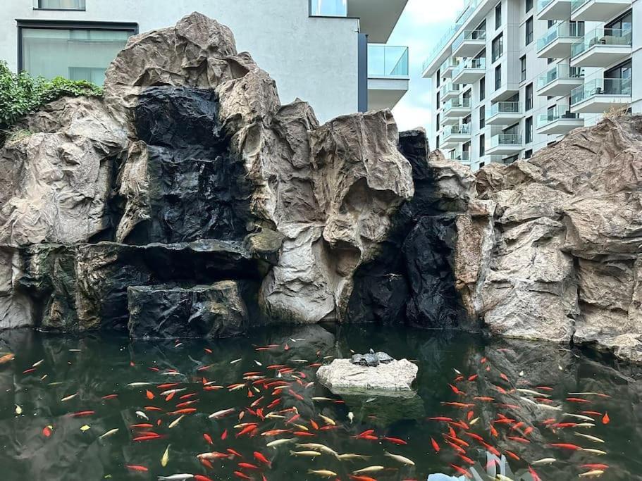 بوخارست North Area Lake View Studio المظهر الخارجي الصورة